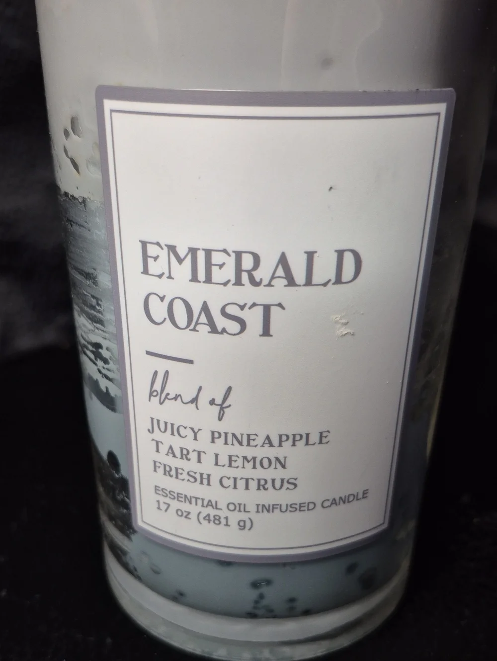 Emerald Coast Citrus Scented Jar Candle - New